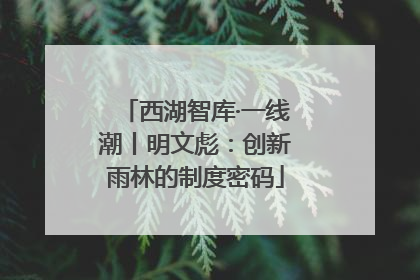 西湖智库·一线潮丨明文彪：创新雨林的制度密码