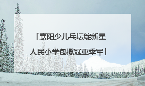 襄阳少儿乓坛绽新星 人民小学包揽冠亚季军