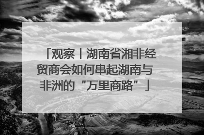 观察丨湖南省湘非经贸商会如何串起湖南与非洲的“万里商路”