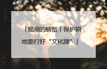 观潮的螃蟹丨保护耕地要打好“文化牌”