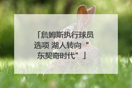 詹姆斯执行球员选项 湖人转向“东契奇时代”