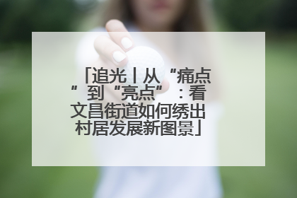 追光丨从“痛点”到“亮点”：看文昌街道如何绣出村居发展新图景