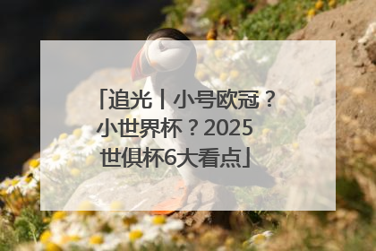 追光丨小号欧冠？小世界杯？2025世俱杯6大看点