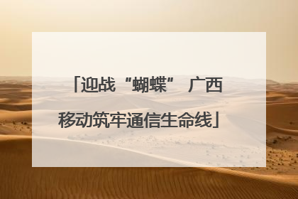 迎战“蝴蝶” 广西移动筑牢通信生命线