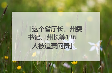 这个省厅长、州委书记、州长等136人被追责问责