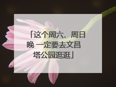 这个周六、周日晚 一定要去文昌塔公园逛逛