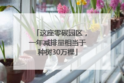 这座零碳园区，一年减排量相当于种树30万棵
