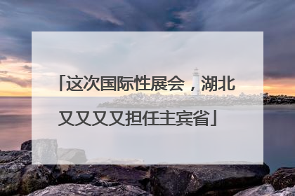 这次国际性展会，湖北又又又又担任主宾省