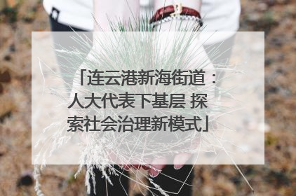 连云港新海街道：人大代表下基层 探索社会治理新模式