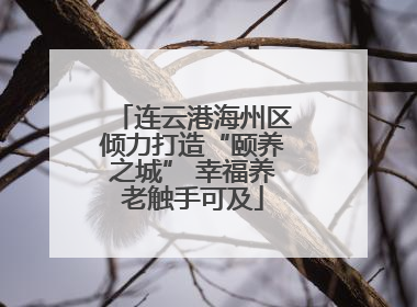 连云港海州区倾力打造“颐养之城” 幸福养老触手可及