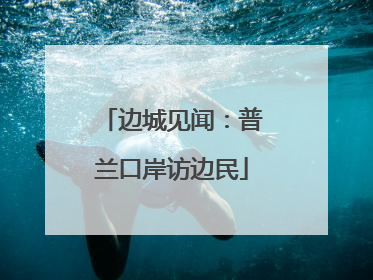 边城见闻：普兰口岸访边民