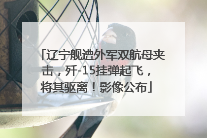 辽宁舰遭外军双航母夹击，歼-15挂弹起飞，将其驱离！影像公布