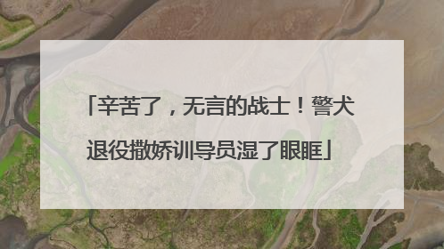 辛苦了，无言的战士！警犬退役撒娇训导员湿了眼眶