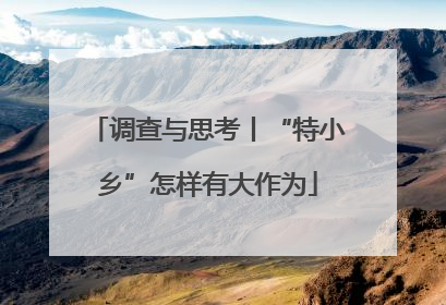 调查与思考丨“特小乡”怎样有大作为