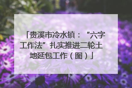 贵溪市冷水镇：“六字工作法”扎实推进二轮土地延包工作（图）