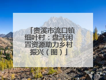 贵溪市流口镇细叶村：盘活闲置资源助力乡村振兴（图）