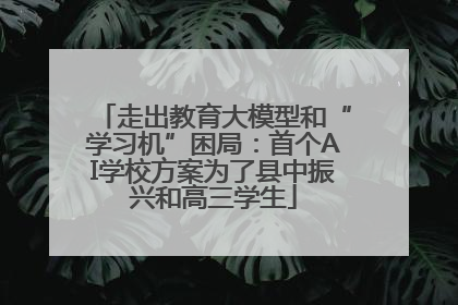 走出教育大模型和“学习机”困局：首个AI学校方案为了县中振兴和高三学生