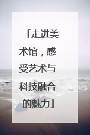 走进美术馆，感受艺术与科技融合的魅力