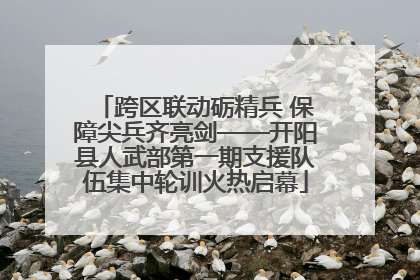 跨区联动砺精兵 保障尖兵齐亮剑——开阳县人武部第一期支援队伍集中轮训火热启幕