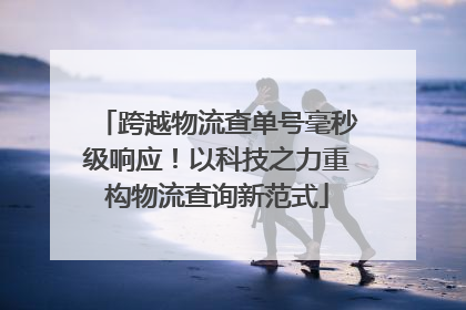 跨越物流查单号毫秒级响应！以科技之力重构物流查询新范式