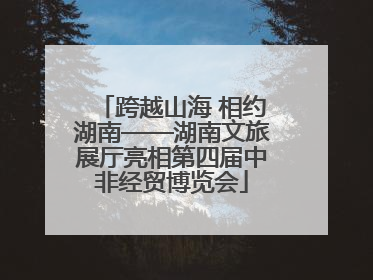 跨越山海 相约湖南——湖南文旅展厅亮相第四届中非经贸博览会