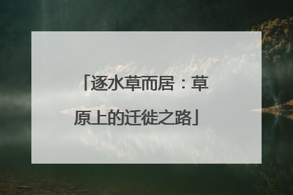 逐水草而居：草原上的迁徙之路