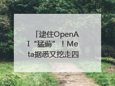 逮住OpenAI“猛薅”！Meta据悉又挖走四位知名研究人员
