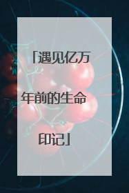 遇见亿万年前的生命印记