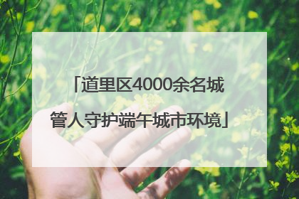 道里区4000余名城管人守护端午城市环境