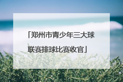 郑州市青少年三大球联赛排球比赛收官