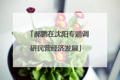 郝鹏在沈阳专题调研民营经济发展