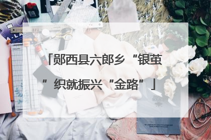 郧西县六郎乡“银茧”织就振兴“金路”