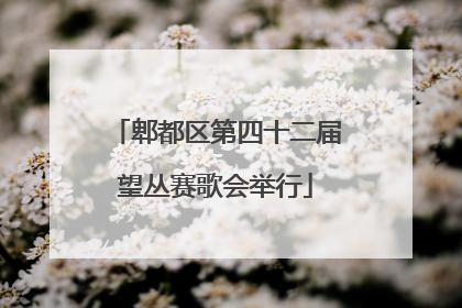 郫都区第四十二届望丛赛歌会举行
