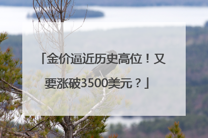 金价逼近历史高位！又要涨破3500美元？