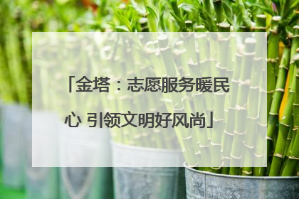 金塔：志愿服务暖民心 引领文明好风尚