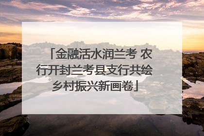 金融活水润兰考 农行开封兰考县支行共绘乡村振兴新画卷