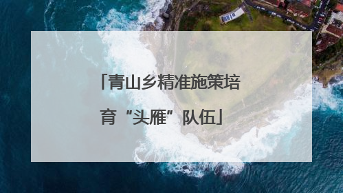 青山乡精准施策培育“头雁”队伍