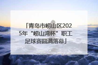 青岛市崂山区2025年“崂山湾杯”职工足球赛圆满落幕