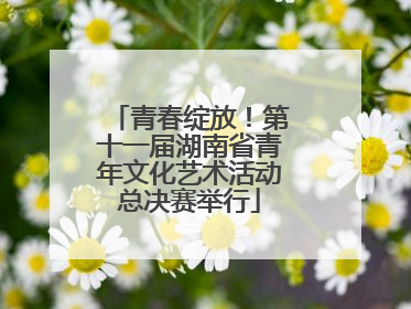 青春绽放！第十一届湖南省青年文化艺术活动总决赛举行
