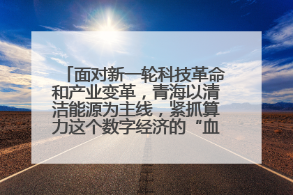 面对新一轮科技革命和产业变革，青海以清洁能源为主线，紧抓算力这个数字经济的“血液”、科技主权的“筹码”、产业升级的“杠杆”、绿色转型的“支点”，勇于撬动国家“双碳”战略、“东数西算”工程重大发展新机遇