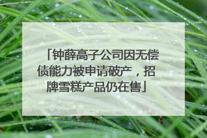 钟薛高子公司因无偿债能力被申请破产，招牌雪糕产品仍在售