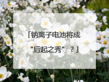 钠离子电池将成“后起之秀”？
