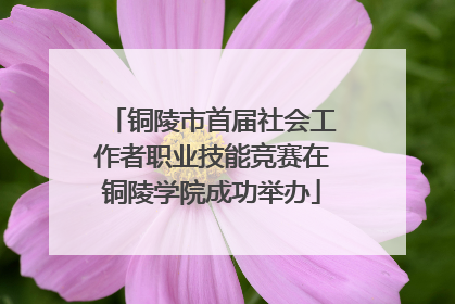 铜陵市首届社会工作者职业技能竞赛在铜陵学院成功举办