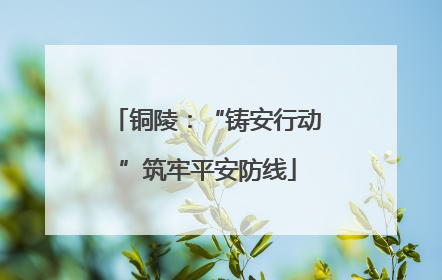 铜陵：“铸安行动”筑牢平安防线