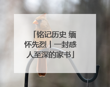 铭记历史 缅怀先烈丨一封感人至深的家书