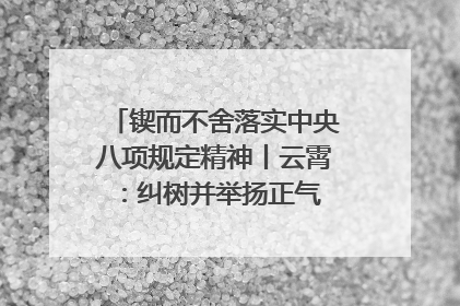锲而不舍落实中央八项规定精神丨云霄：纠树并举扬正气 作风建设谱新章