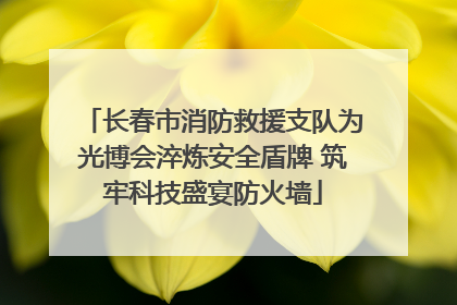 长春市消防救援支队为光博会淬炼安全盾牌 筑牢科技盛宴防火墙