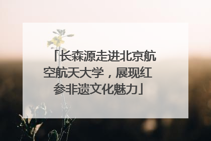 长森源走进北京航空航天大学，展现红参非遗文化魅力