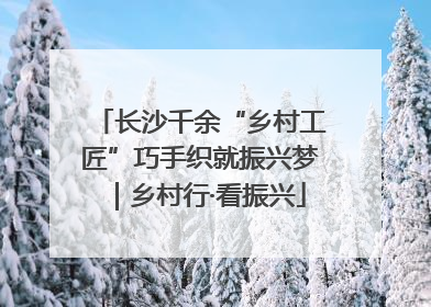 长沙千余“乡村工匠”巧手织就振兴梦｜乡村行·看振兴