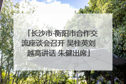 长沙市·衡阳市合作交流座谈会召开 吴桂英刘越高讲话 朱健出席